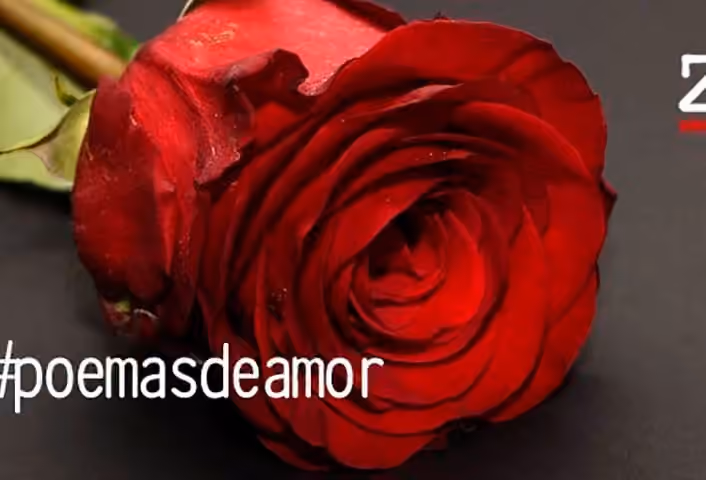 Poemas de amor