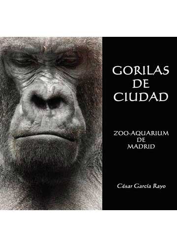 Gorilas de Ciudad