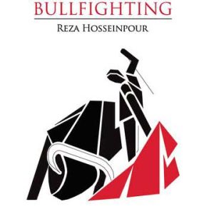 Making sense of bullfighting