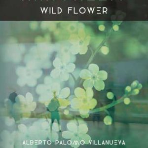 Anagallis. Wild flower
