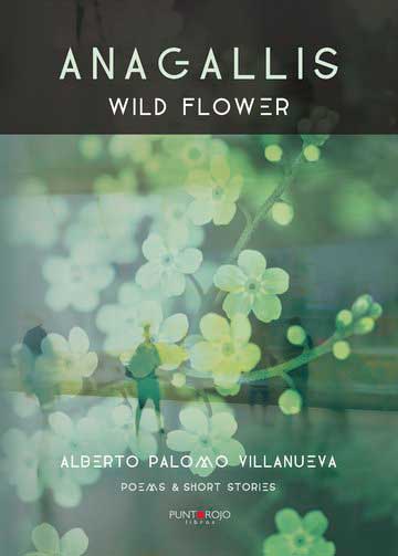Anagallis. Wild flower
