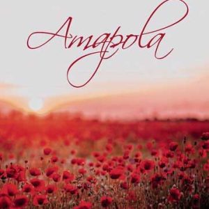 Amapola