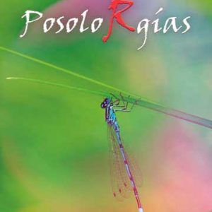 Posolorgías