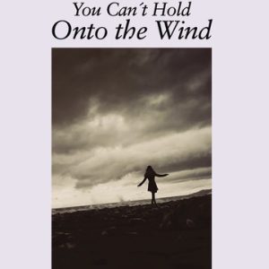 You Cant Hold Onto the Wind