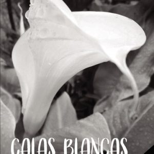 Calas Blancas (tercera edición) ¿Cómo he llegado a este lugar?