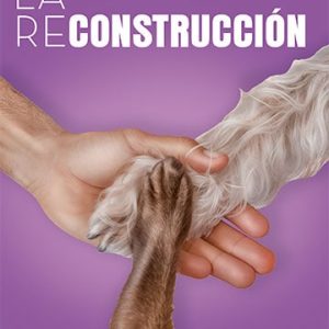 La reconstrucción