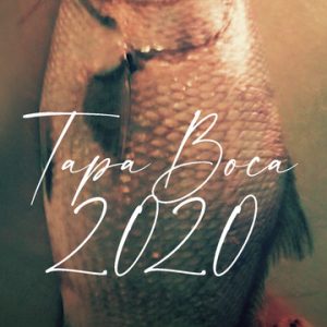 Tapaboca 2020