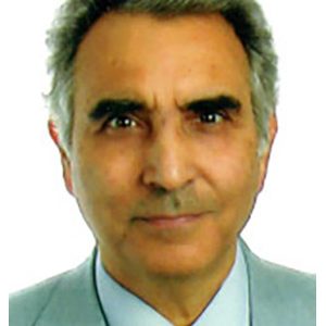 Gonzalo Hernández Valdeolmillos