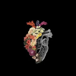 Locuras  de una cuerda